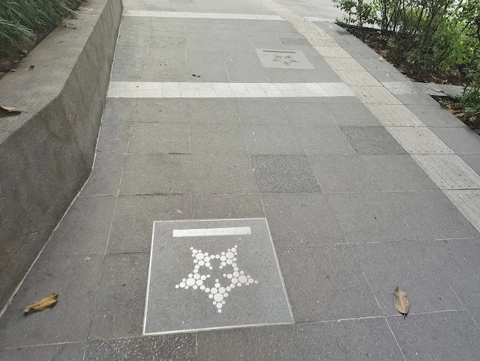 Star walk of fame Picture 2