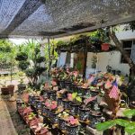Warung Wana Lan kg sg putat