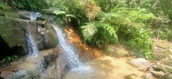 Kiara Picture 2