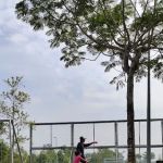 The Park @Acacia Park