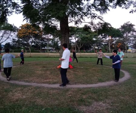 Energy Bagua