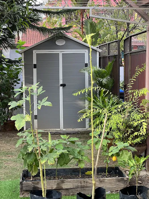 RDA Garden Shed Picture 7