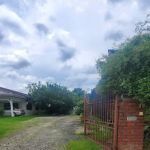 Wong Tai Hoon Orchids & Nursery