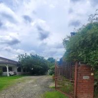 Wong Tai Hoon Orchids & Nursery ico