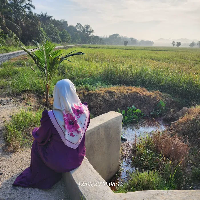 Laman Jerami Paya Sungai Kertam (Maran) Picture 5