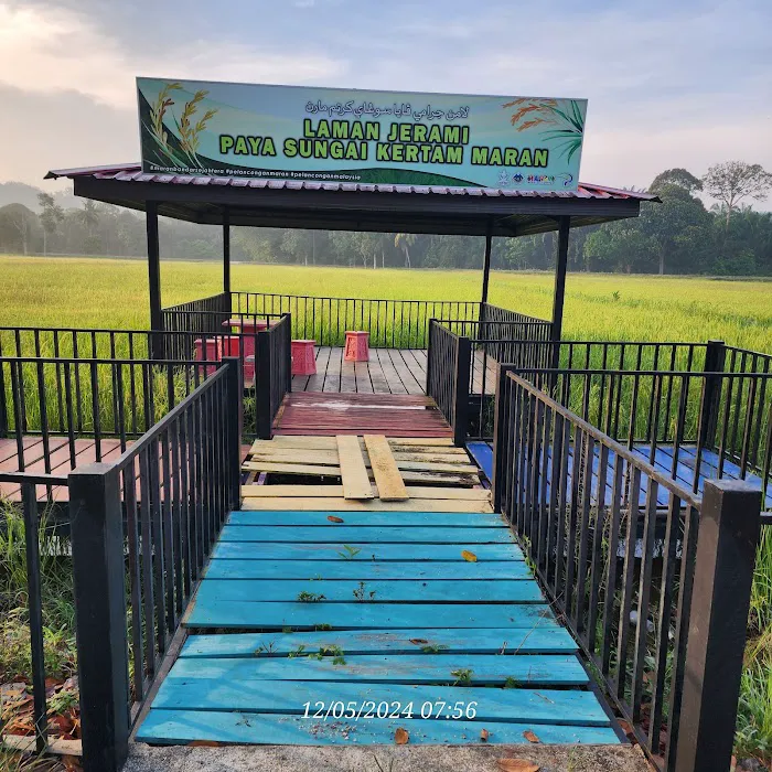Laman Jerami Paya Sungai Kertam (Maran) Picture 4