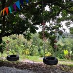 Happy Harvest Campz