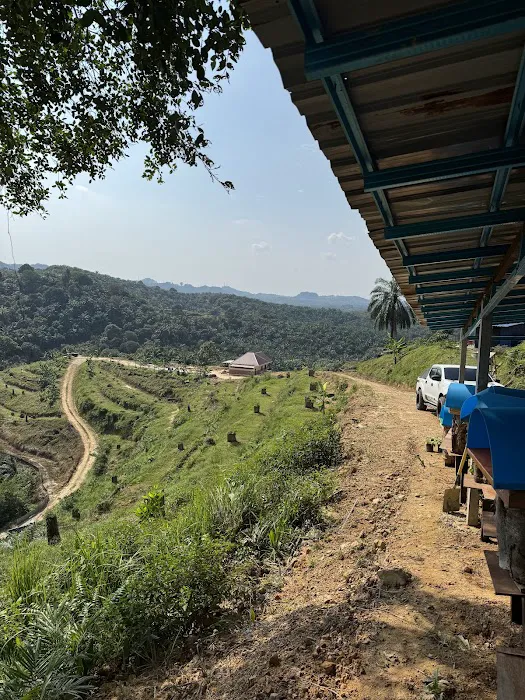 Ladang kelulut Voltan Agro Picture 2