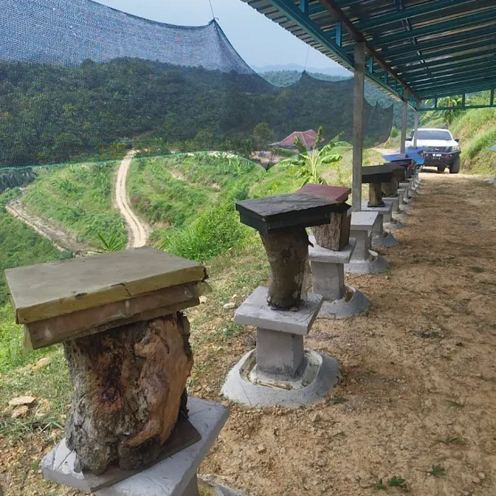 Ladang kelulut Voltan Agro Picture 5