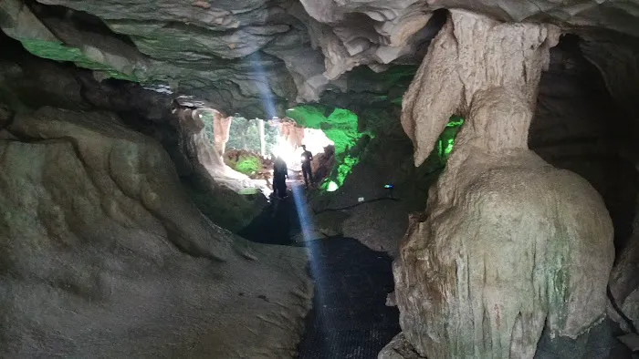 Gua Neon Picture 5