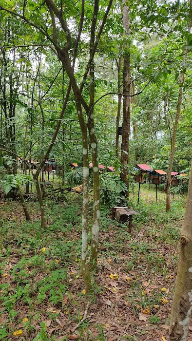 Mentari Bee Eco Tourism Farm Picture 6