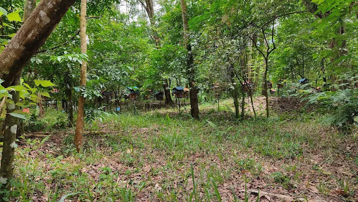 Mentari Bee Eco Tourism Farm Picture 9
