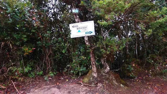 Surau Kampung Simpang Kalang Picture 2