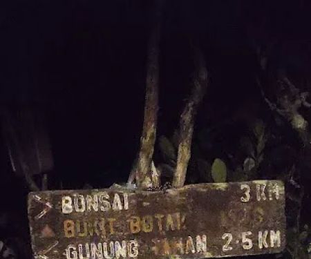 Surau Kampung Simpang Kalang