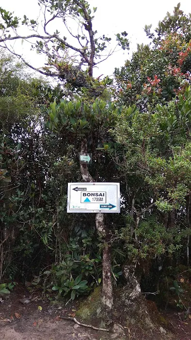 Surau Kampung Simpang Kalang Picture 4