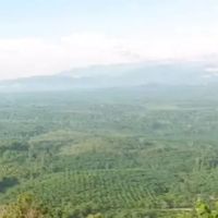 Bukit Rong, Pulau Tawar ico