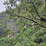 Gua Musang Peak