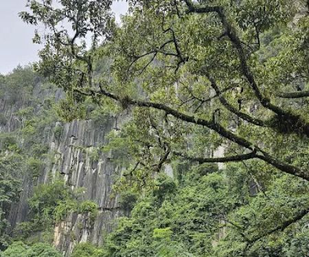 Gua Musang Peak