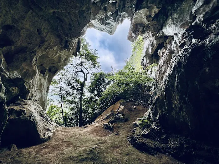 Gua Musang Peak Picture 4