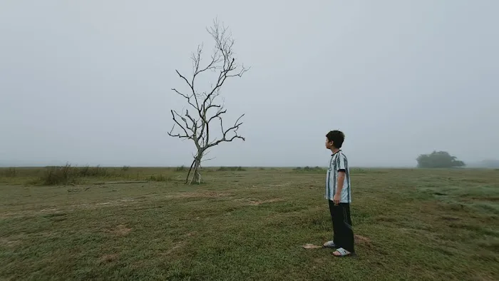 Pokok Nan Sebatang Paya Kangsar Picture 11