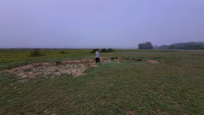 Pokok Nan Sebatang Paya Kangsar Picture 10