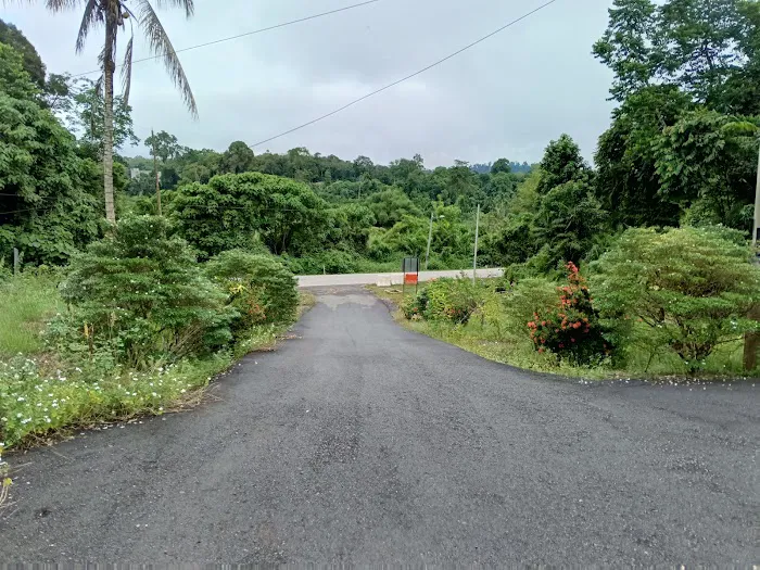 Masjid Kampung Dala Picture 2