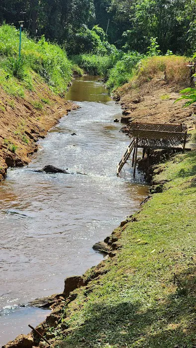 LamanSuri Picture 6