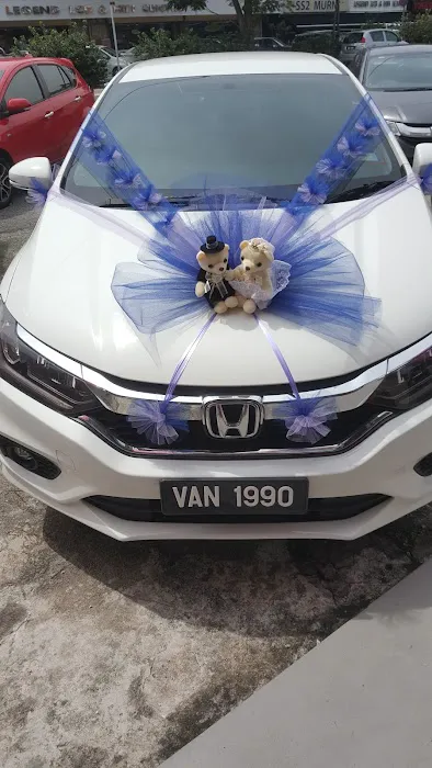 My Diamond Wedding Picture 9