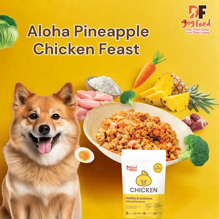 DF Dog Food Picture 2