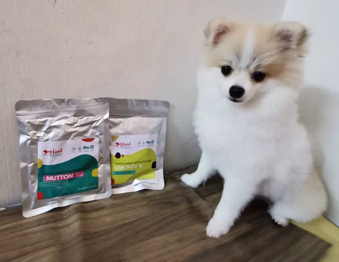 DF Dog Food Picture 4