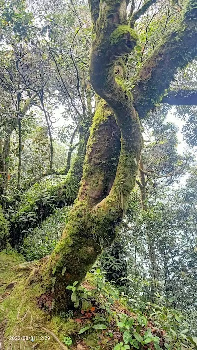 Puncak Pengasih Picture 3