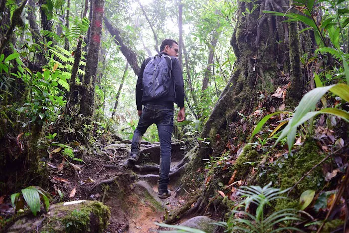 Puncak Pengasih Picture 10