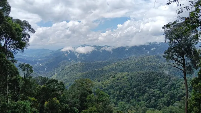 Bukit Janda Baik Picture 1