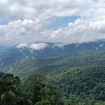 Bukit Janda Baik