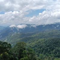 Bukit Janda Baik ico