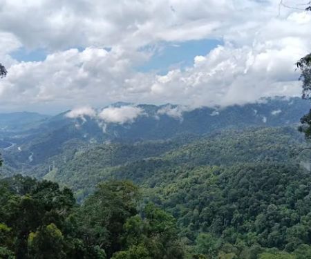 Bukit Janda Baik