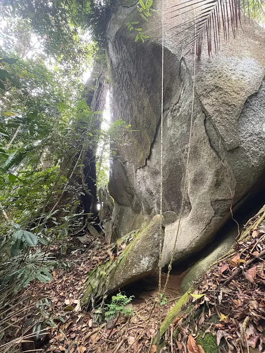 Bukit Janda Baik Picture 3