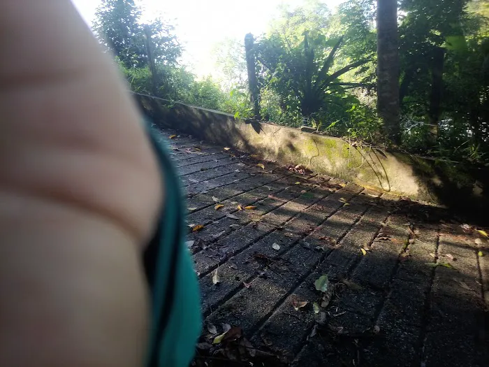 Birding Place Picture 2