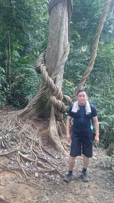 Kem Lolo Picture 10