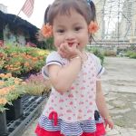 Lot kebun sempadan sg terah
