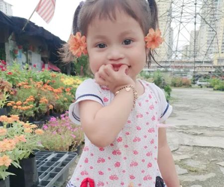 Lot kebun sempadan sg terah