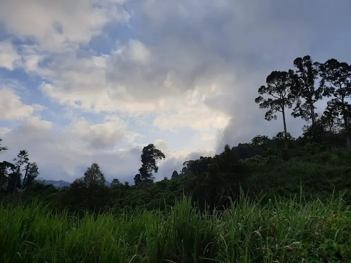 Starting Point Gunung Nuang via Janda Baik Picture 3