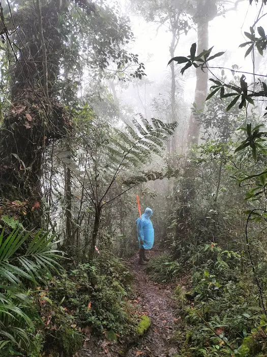 Starting Point Gunung Nuang via Janda Baik Picture 10