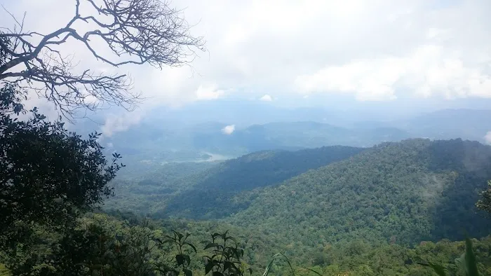 Starting Point Gunung Nuang via Janda Baik Picture 5
