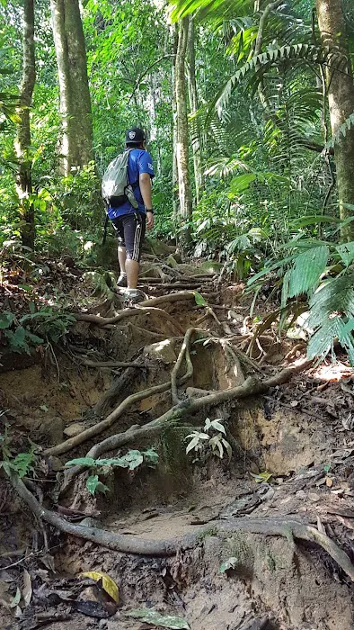 Gua Cha Picture 8