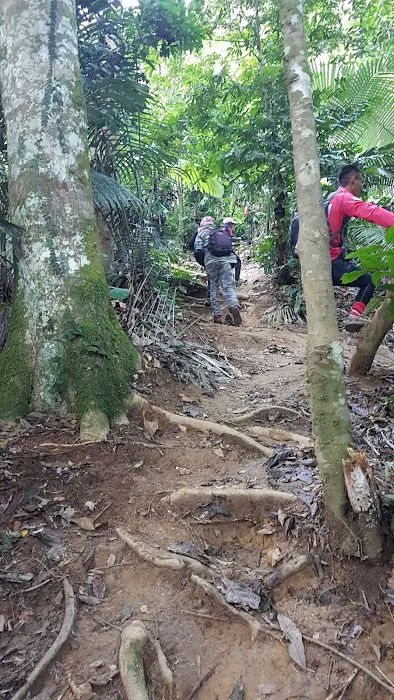 Gua Cha Picture 7