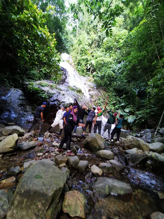 Gua Cha Picture 4