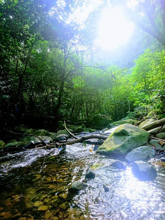 Gua Cha Picture 10