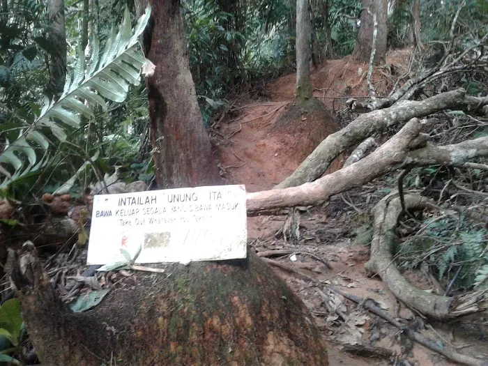 Gua Cha Picture 19