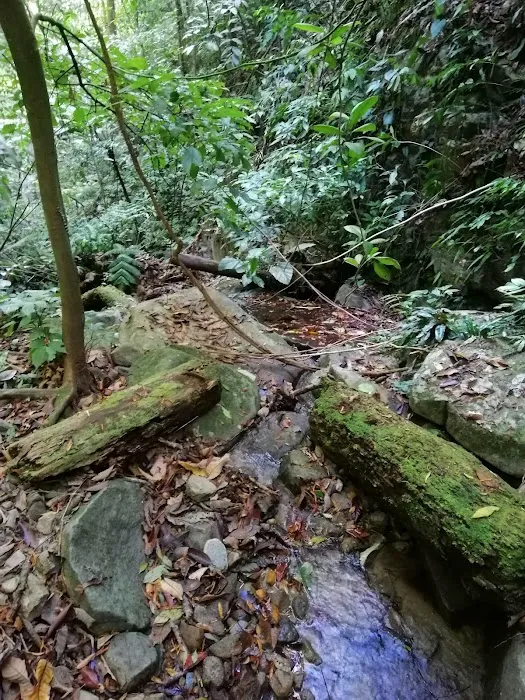 Gua Cha Picture 17